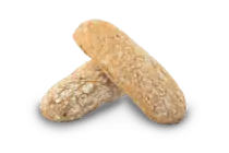 Glutenvrije pistolets meergranen